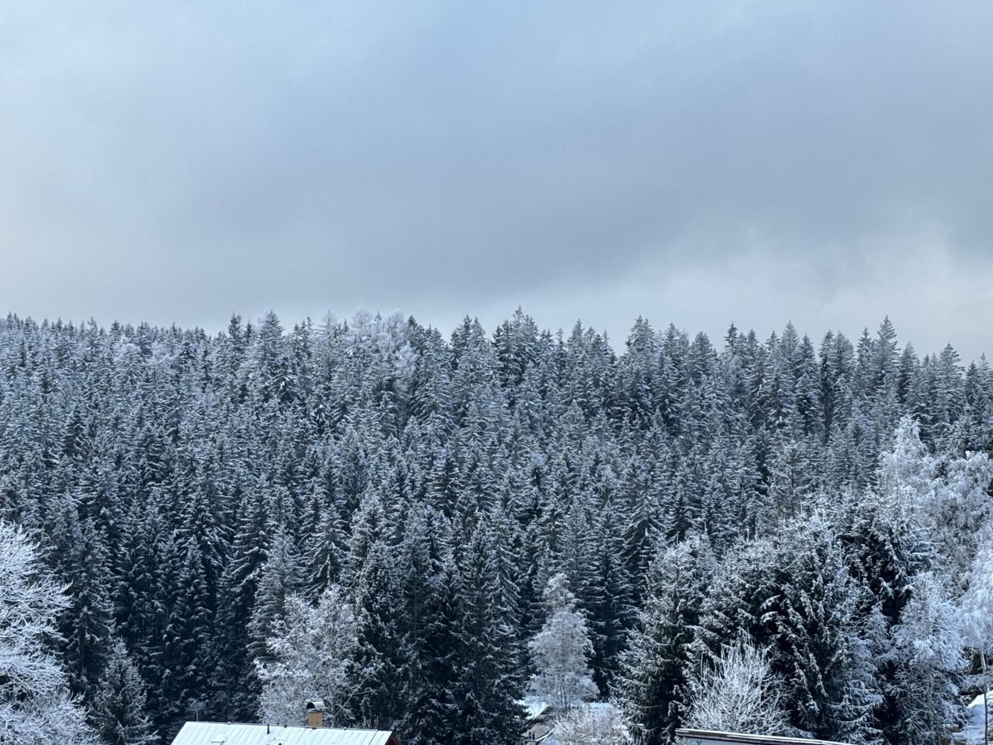 Penzion Verde Rosa Harrachov Exterior foto